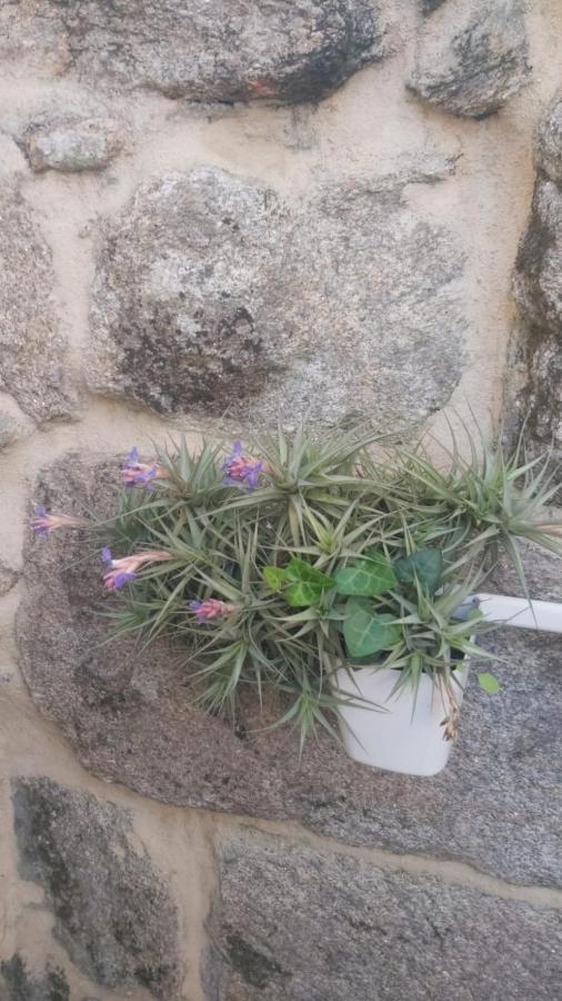 Appartamento Vivienda Con Terraza En Playas De Baiona Esterno foto